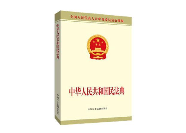 《中华人民共和国民法典》（公报版单行本）